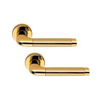 Ручки на розеті COLOMBO Taipan LC11 (CD49BZGG-CD43G) полірована латунь/матове золото